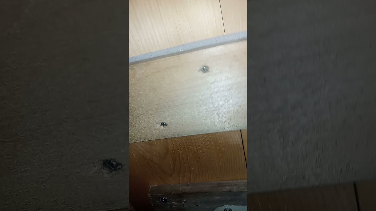 Ух ты! 😲