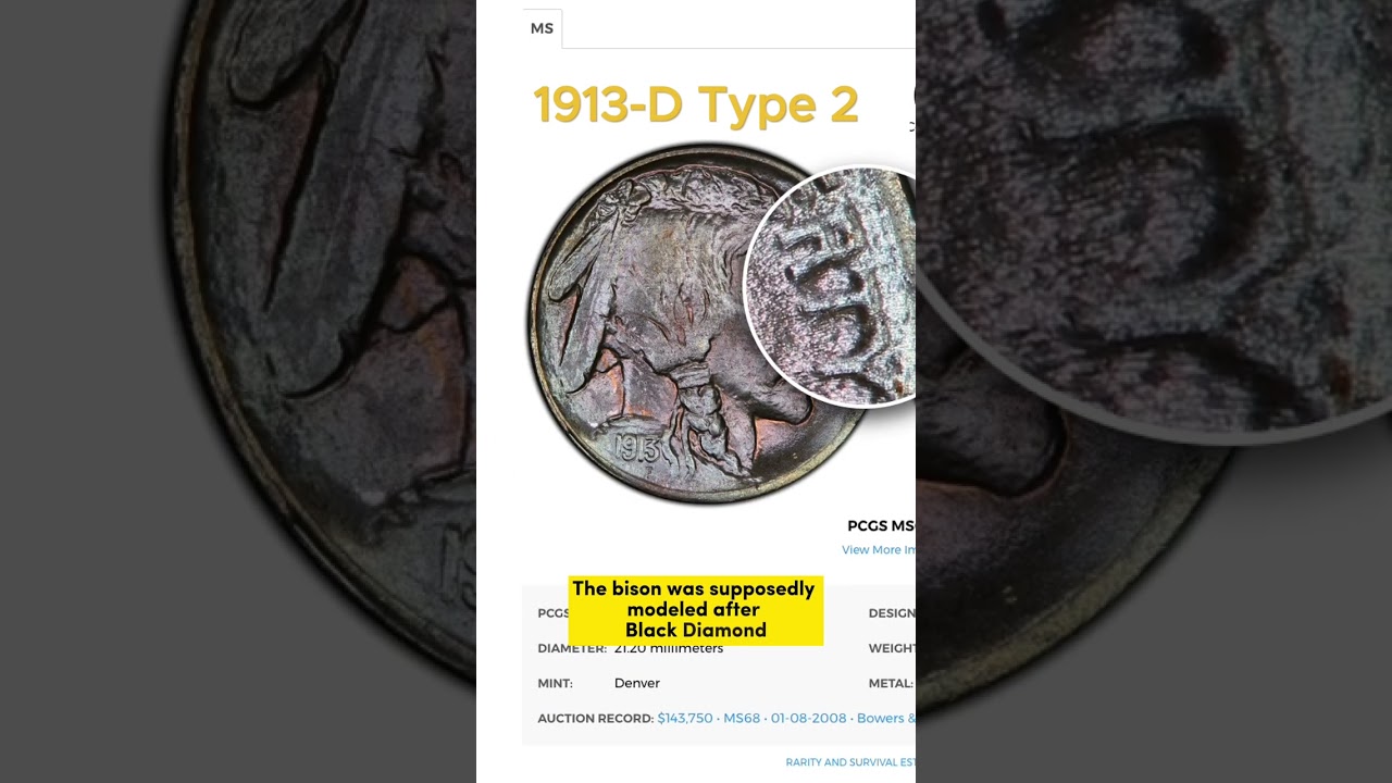 1913-D Buffalo Nickel? Two distinct varieties?  Part 2 #coin #coincollecting  #nickel #buffalonickel