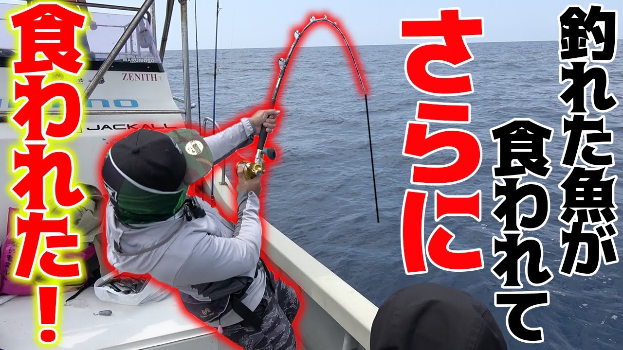 #2　生きた魚を泳がせてたら巨大生物に食われまくった・・・