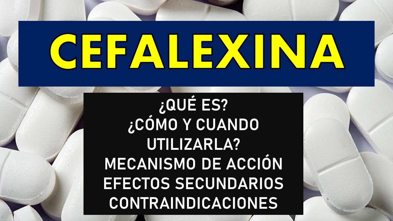 🔴 CEFALEXINA | PARA QU&Eacute; SIRVE, EFECTOS SECUNDARIOS, CONTRAINDICACIONES Y MECANISMO DE ACCI&Oacute;N