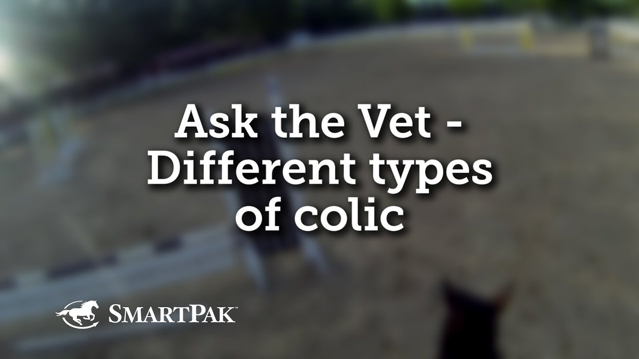 Ask the Vet - Different types of colic