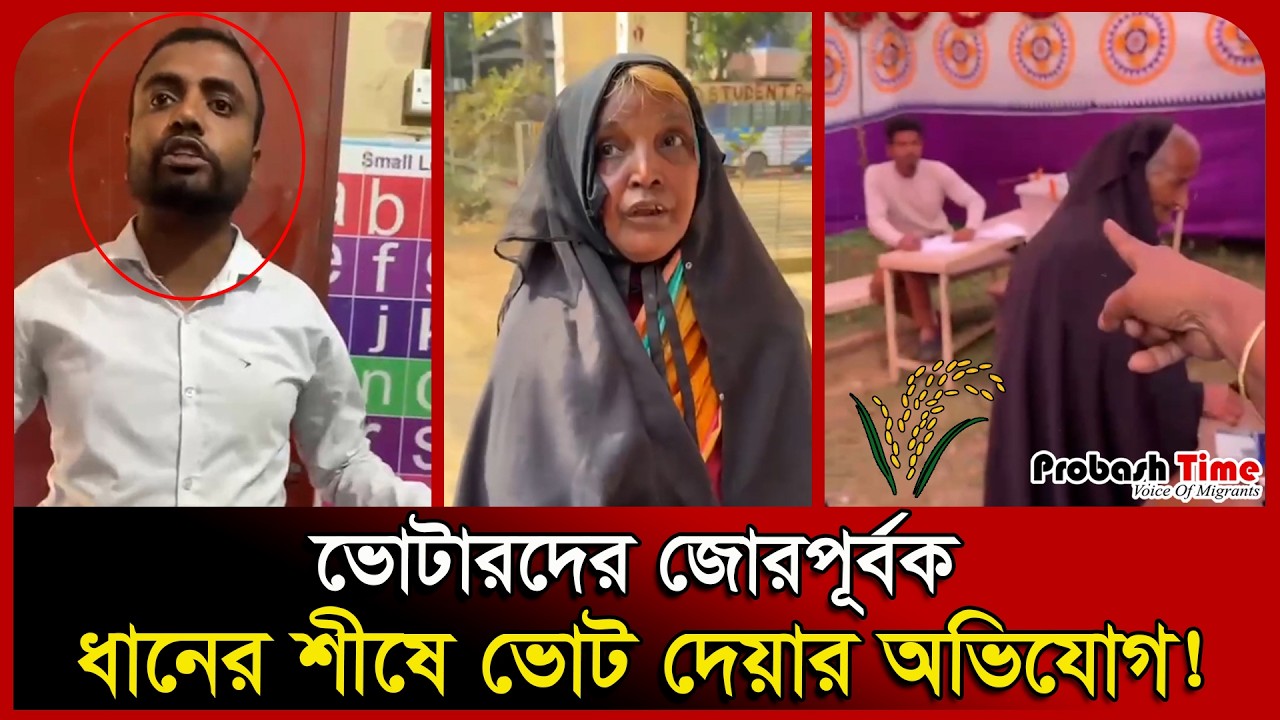 ভোটারদের জোরপূর্বক ধানের শীষে ভোট দেয়ার অভিযোগ! | Election BD | BNP | Vote | Probash Time
