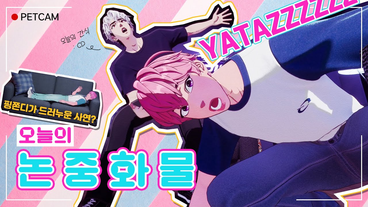 📻플레이디오ㅣ🐹햄스터랑 강아지가 잘 어울려 노네요🐶 오늘의 논중화물ㅣ240729 #플레이브 #plave