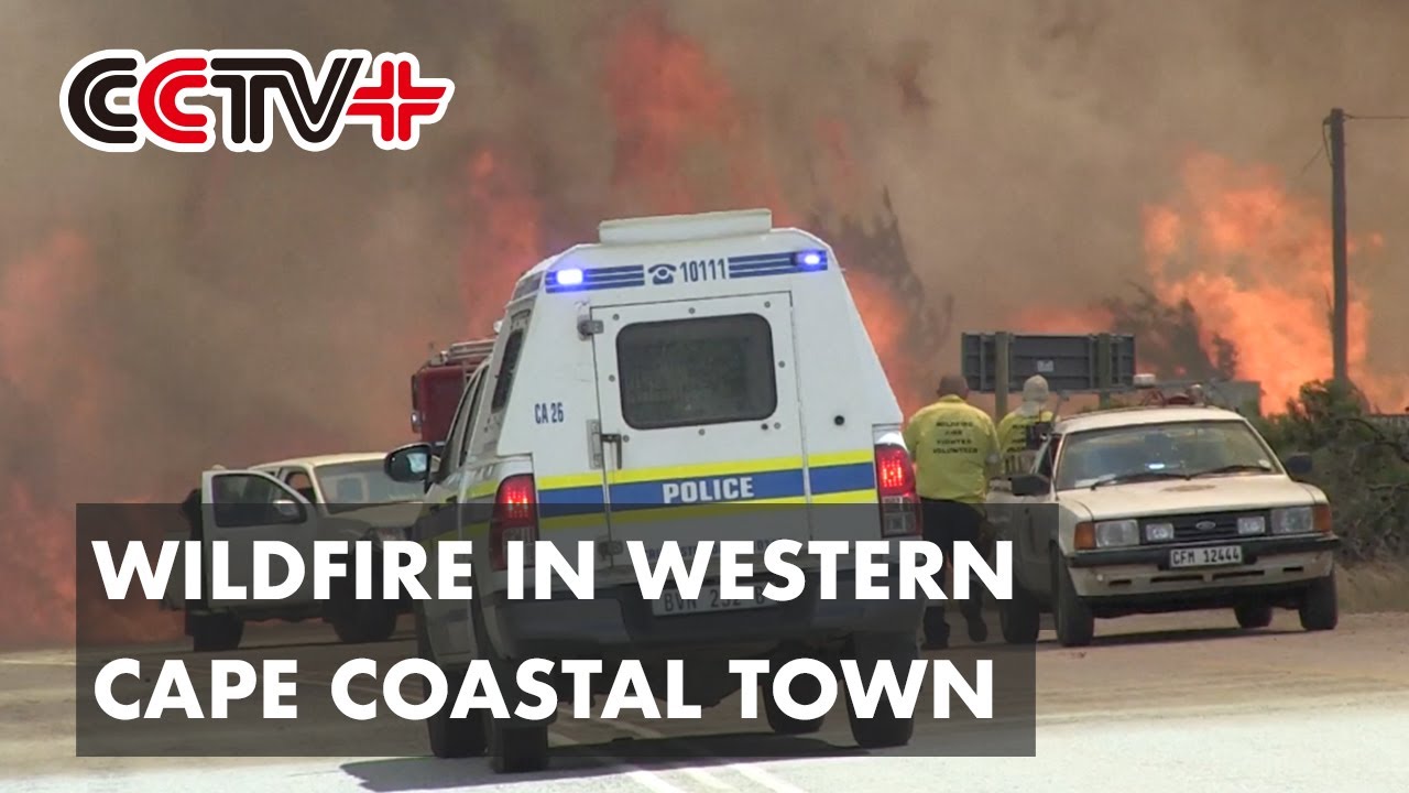 Wildfire in Western Cape Coastal Town Destroys Property, Plantations