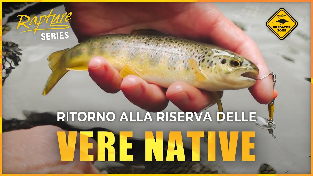 NATIVE TROUT FISHING 👉🏻 RITORNO alla RISERVA delle NATIVE MEDITERRANEE 1 anno dopo