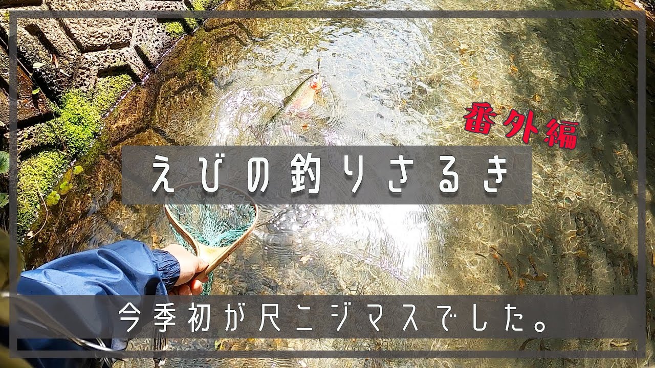 【えびの釣りさるき】今季初フィッシュが水路で尺超えニジマス！！| 渓流ルアー | トラウト | ルアーフィッシング | ニジマス | アウトドア | ヤマメ | 宮崎 | えびの