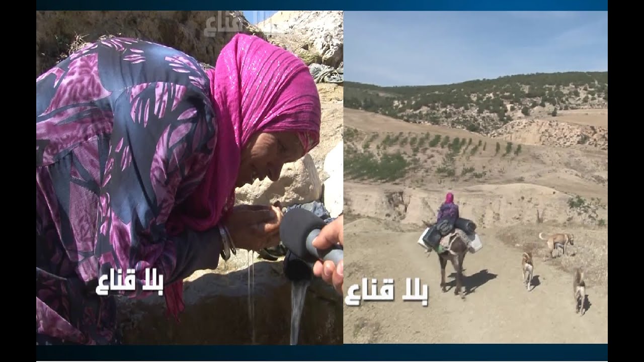 يحدث في تونس:جولة شاقة على الحمير بحثا عن المياه وعائلات تشرب من الوديان مع الكلاب والمواشي..لن تصدق