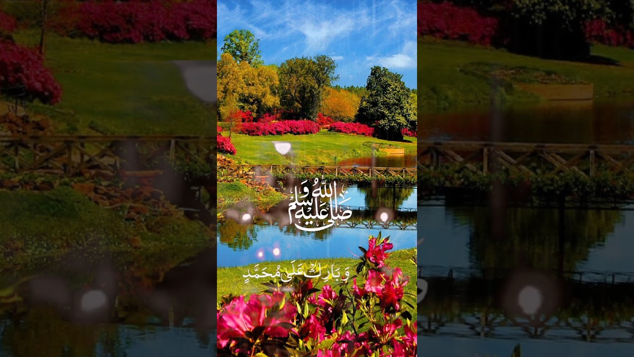 #voiceofdeen#voiceofmyslim  #voiceofislam #alquran #islamvoice #islamicquotes #quotes#Allah#viral