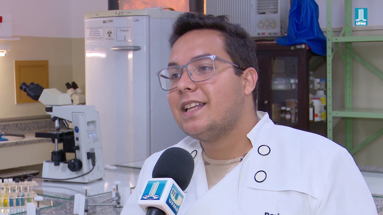 Pesquisa sobre fungos nas fezes de pombos
