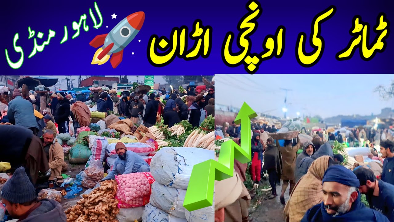 Tomato Price Out Of control 🚀 | Lahore Wholesale Vegetables Market