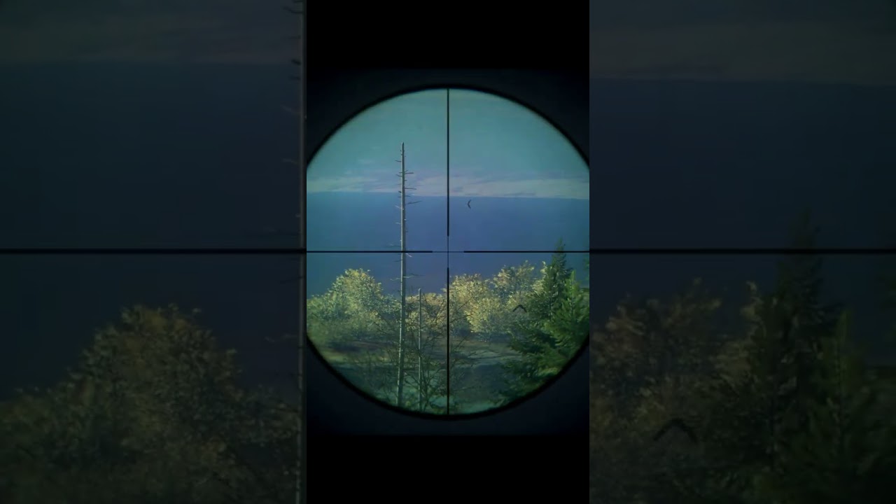 Hunter Call of the wild first shot of the game