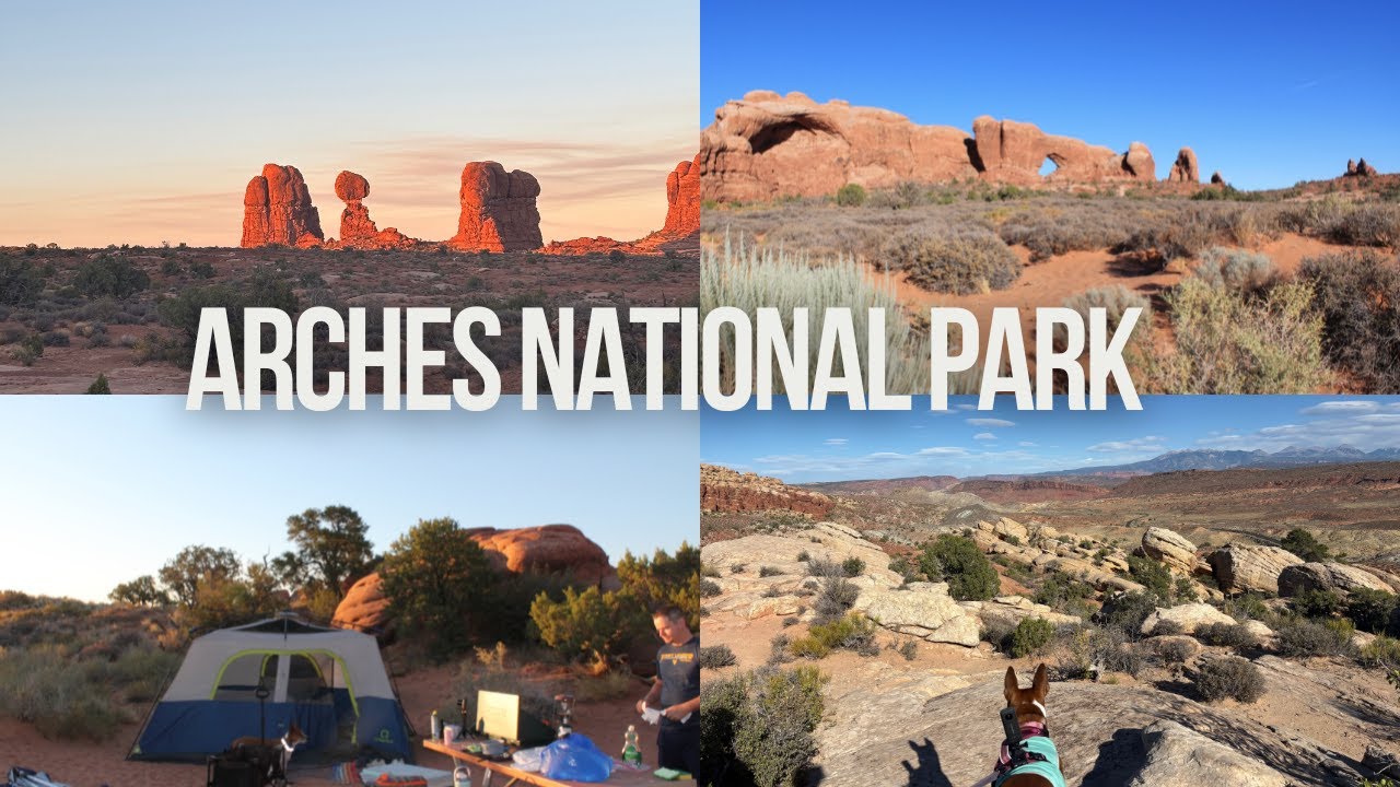 Dog Friendly Road Trip Arches National Park Scenic Drive