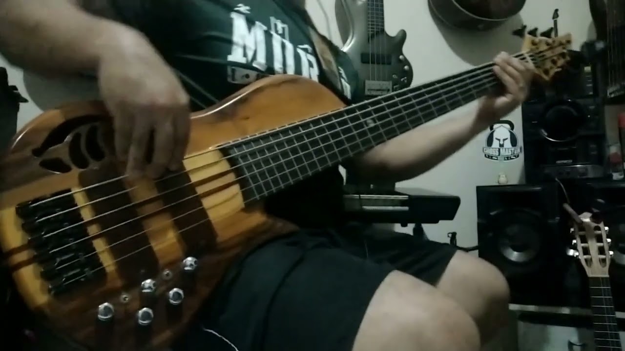 Slipknot Duality - Ws.Bass - Bass Cover 
