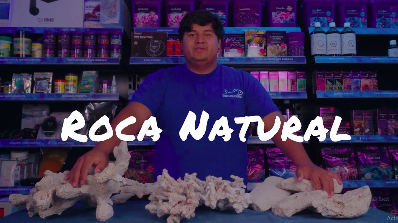 Los diferentes tipos de ROCA NATURAL para tu acuario