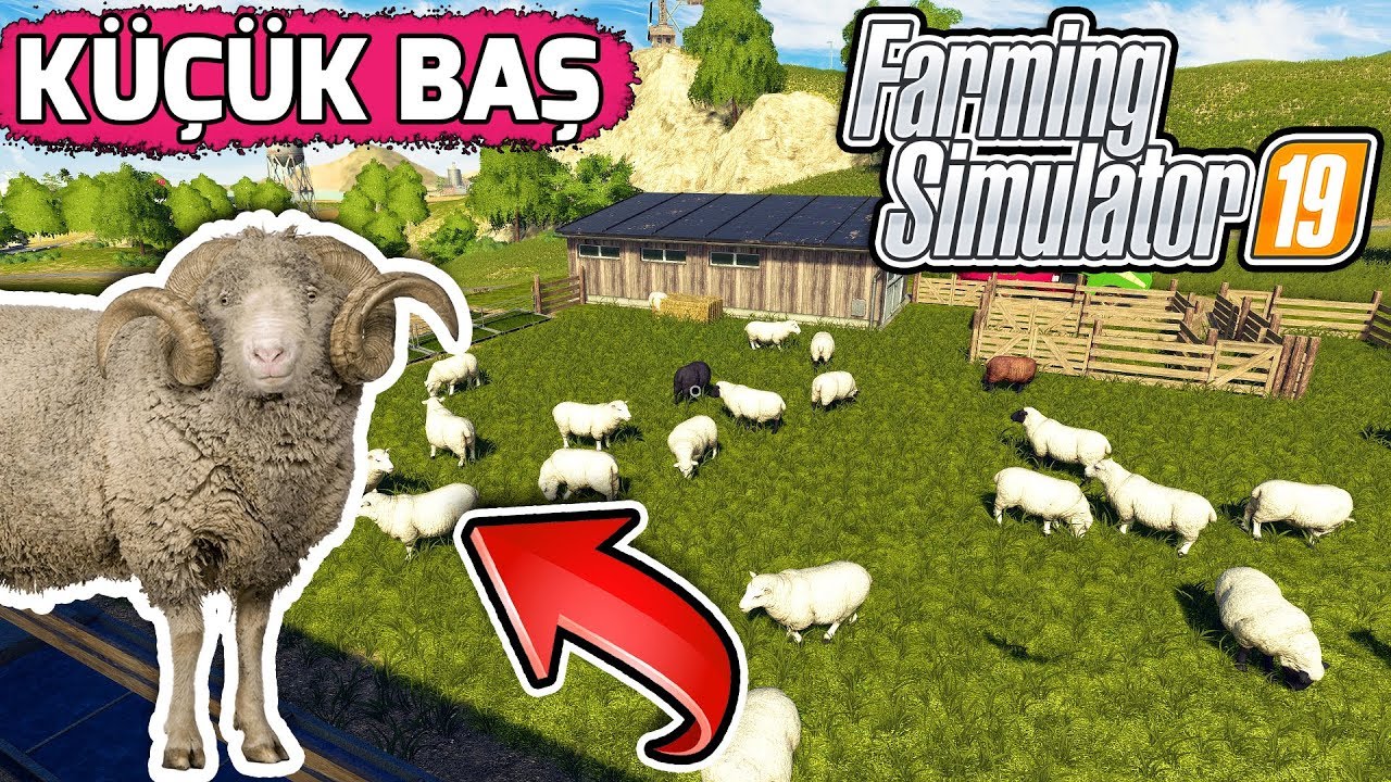 FARMING SIMULATOR 19 // KÜÇÜK BAŞ HAYVANCILIK !! #16