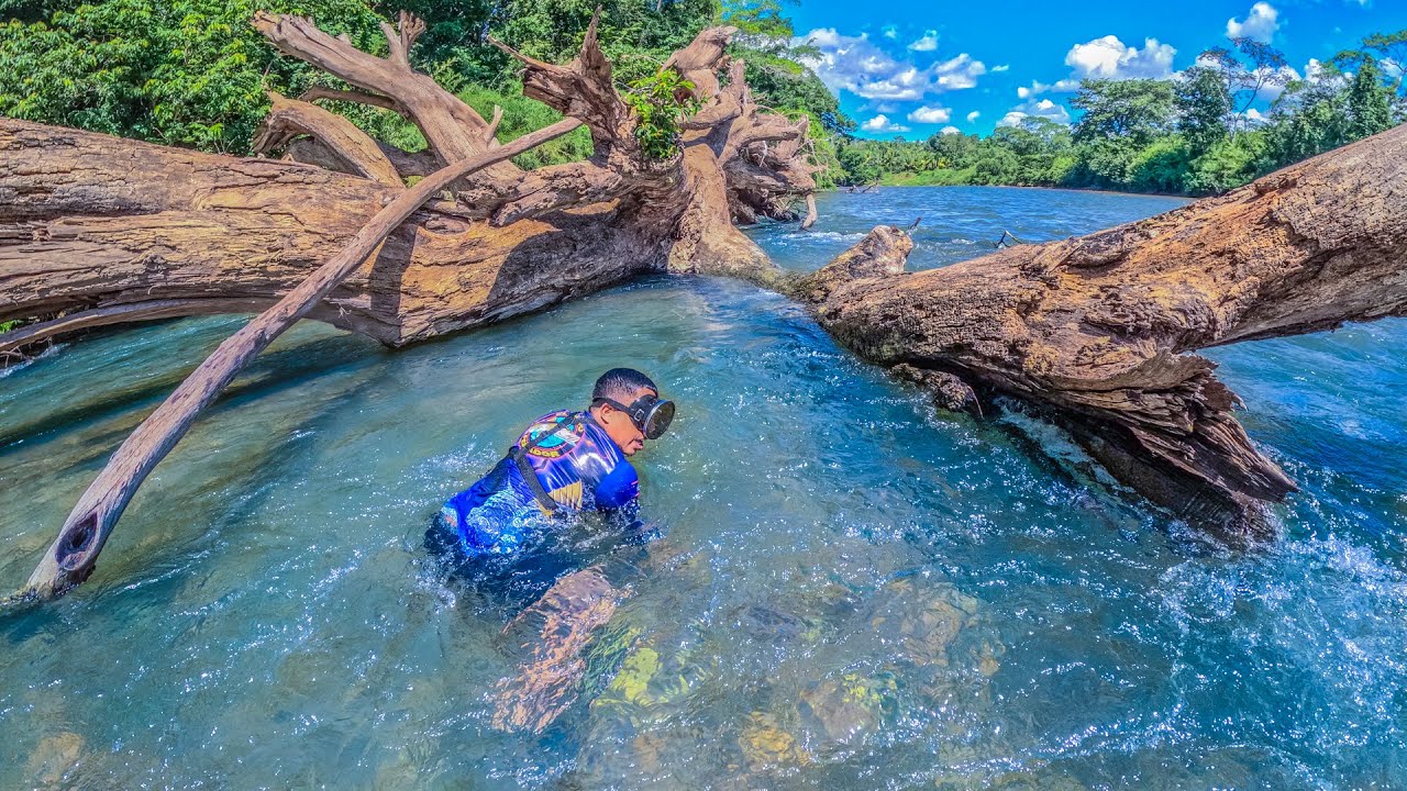 Pesca y cocinando en este hermoso Rio Cristalino atrapamos camarones y mojarras