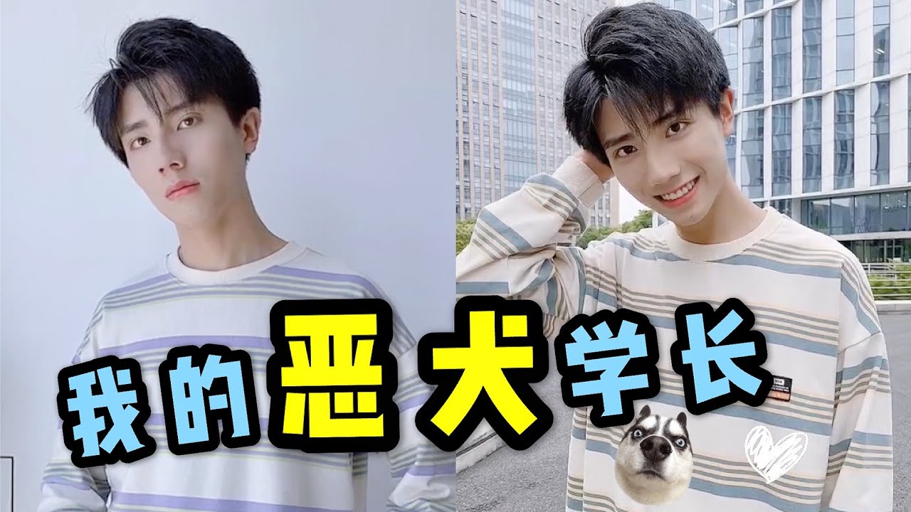 【果然学长的日常】学长变身恶犬？！My boyfriend? A dangerous dog?