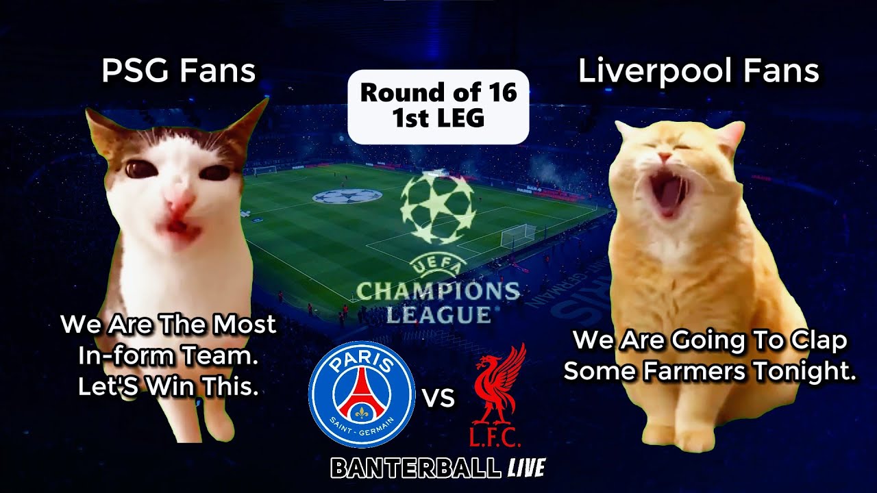 PSG 0-1 LIVERPOOL | Cat Memes Highlights | Round of 16 -1st leg UCL 2024/25