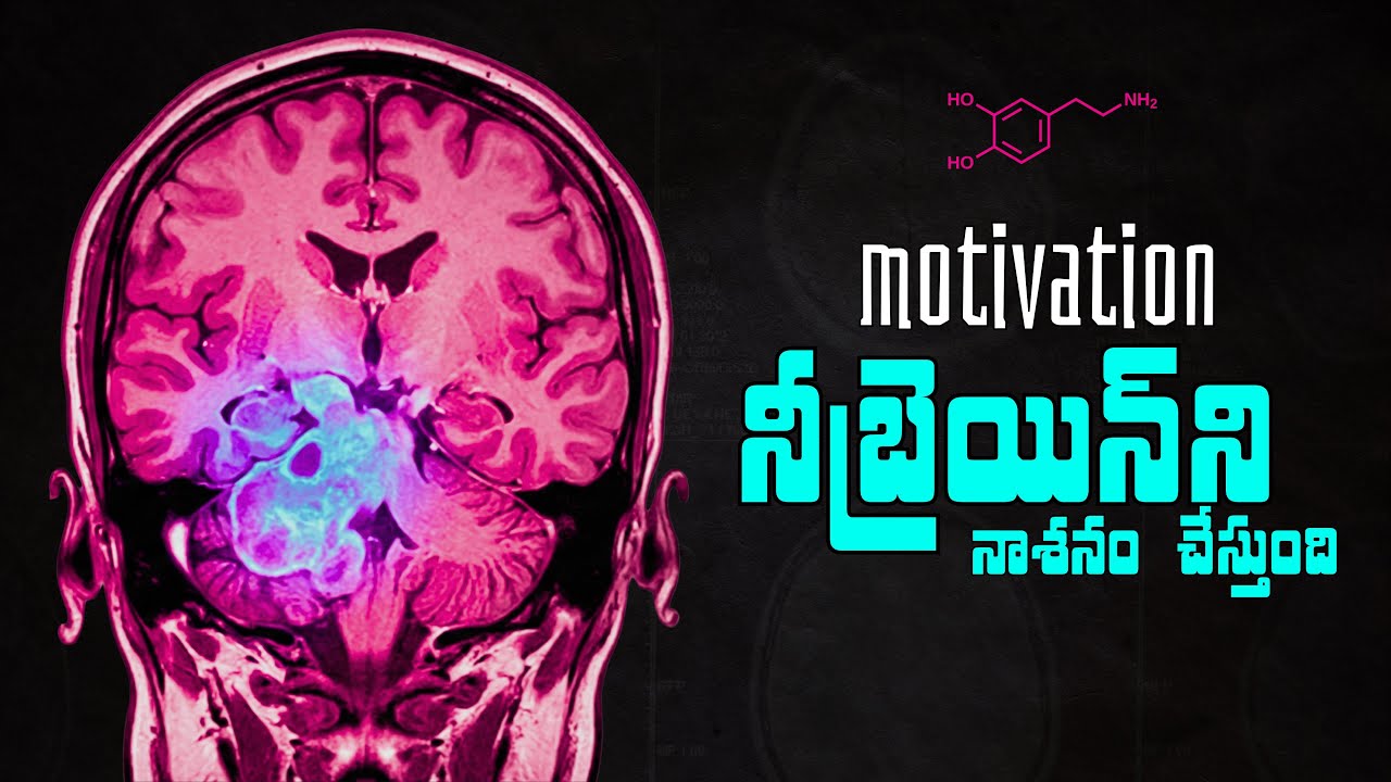 Why You Feel Unmotivated | Dopamine, Brain Chemistry & The Motivation Trap 