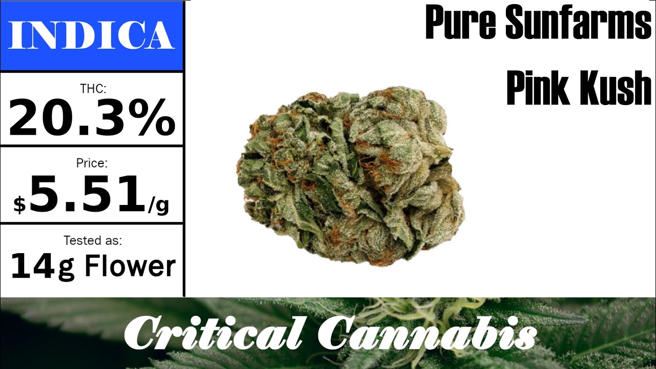 Pure Sunfarms - Pink Kush | OCS Strain Review