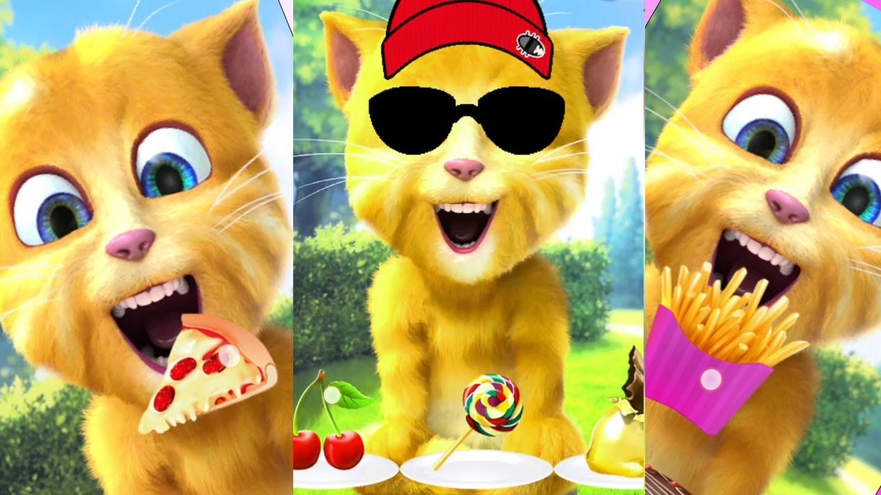 Talking Ginger 🍕 🍒🍎| my talking ginger cat | talking ginger 2 eat with me |