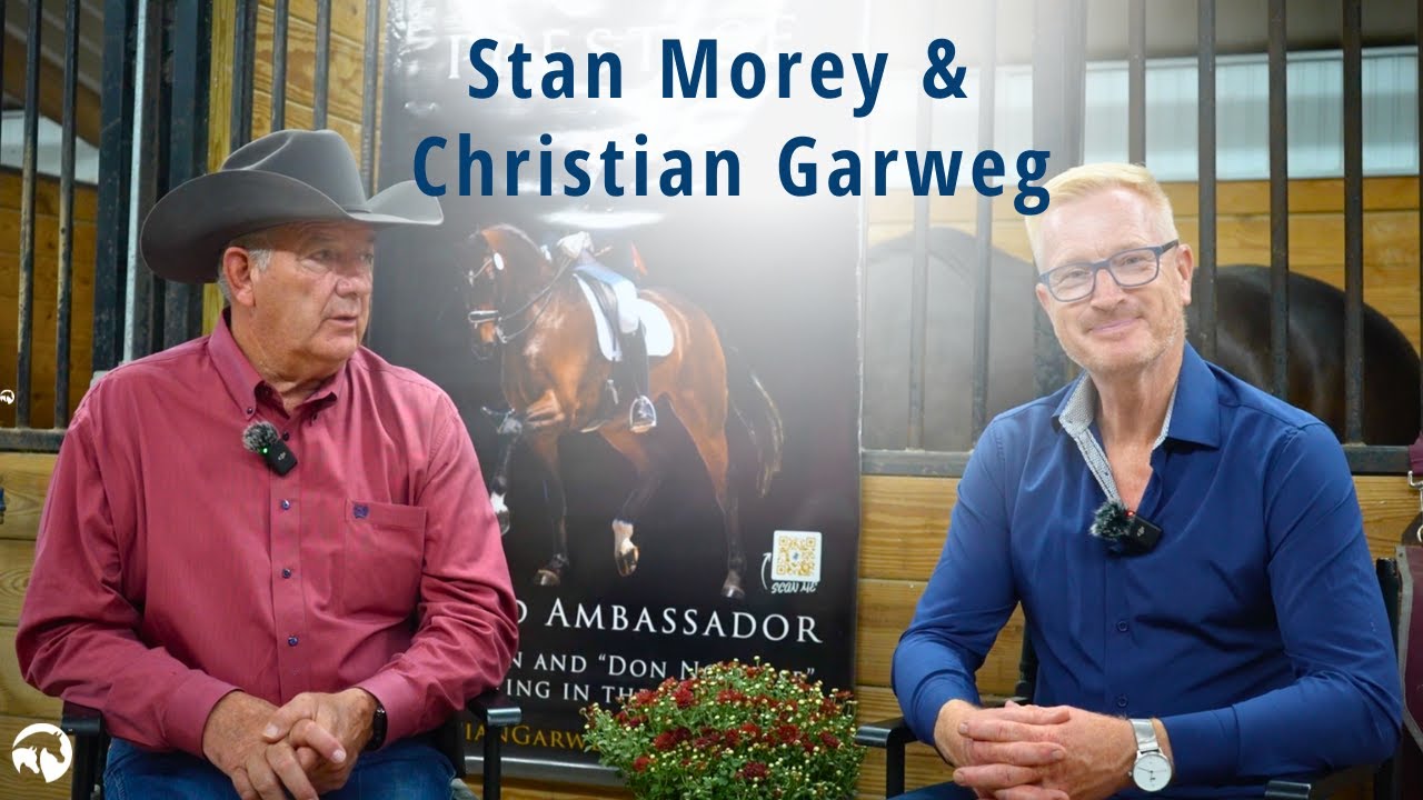 The Dressage Potential of Arabian Horses: A Chat with Morey & Garweg