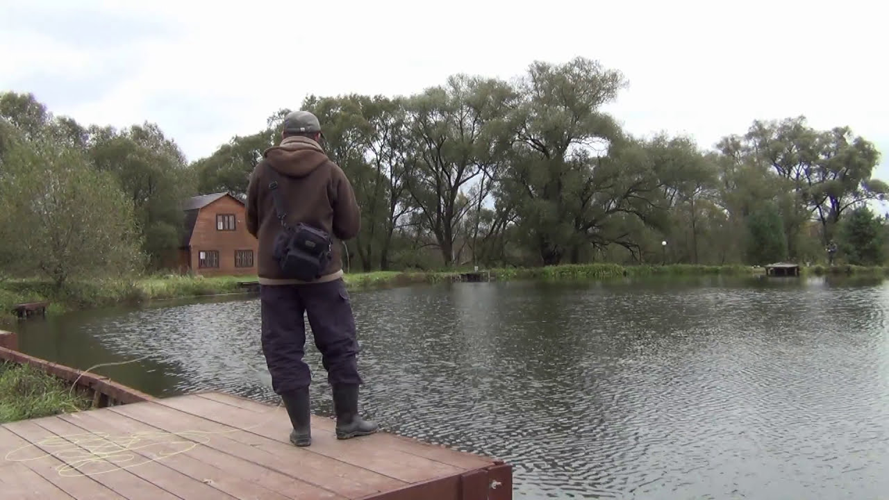 свич + скагит