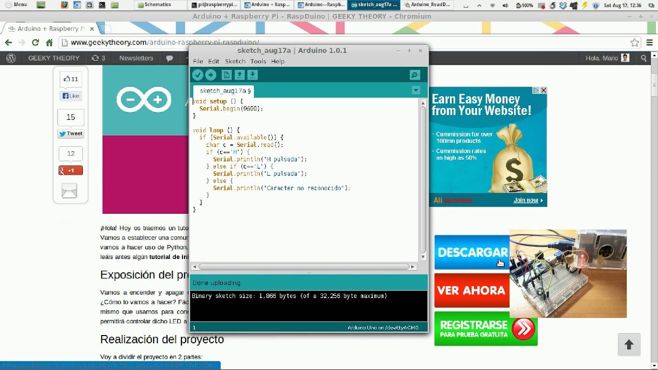Arduino + Raspberry Pi - Lectura de datos [geekytheory.com]