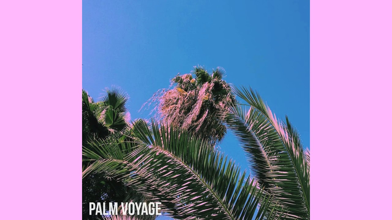 Palm Voyage - Blurry Mind