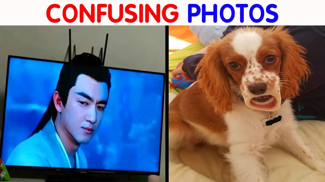 Confusing Photos That You Might Need To Look At Twice To Understand What&rsquo;s Going On