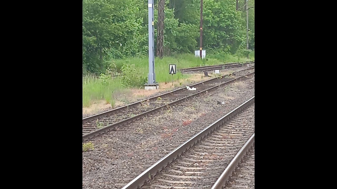 OSYGNALIZOWANIE ODCINKÓW OGRANICZENIA PRĘDKOŚCI NA STACJI