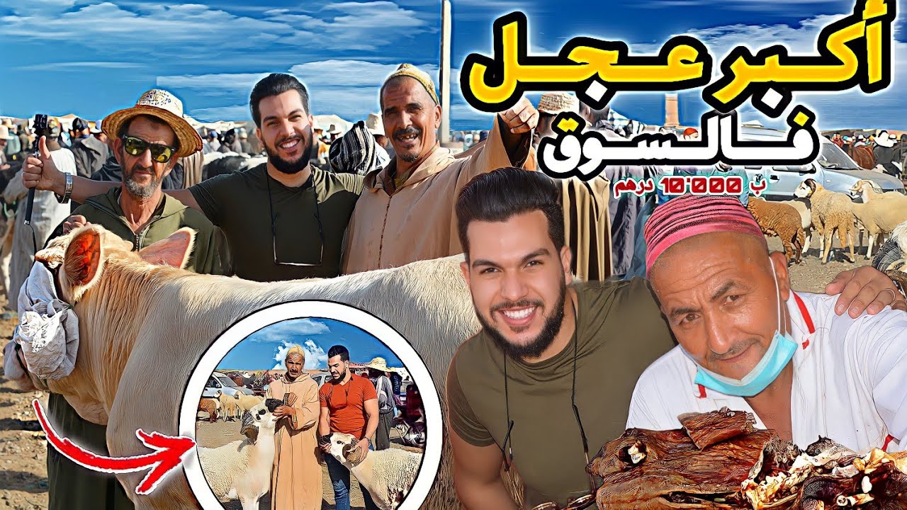 يوم كامل مع حرفين الغنم والبقر في سوق الاربعاء السويهلة (مراكش) 🐏🐄