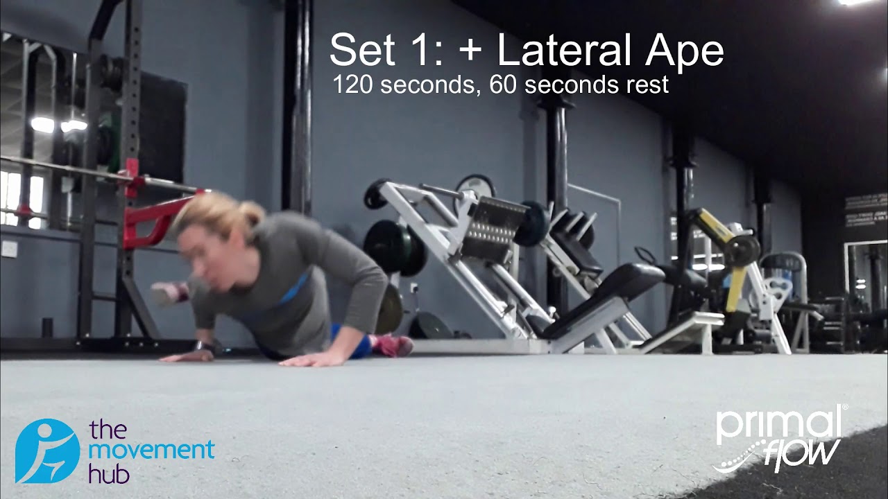 The Movement Hub | Primal Flow | Full body conditioning