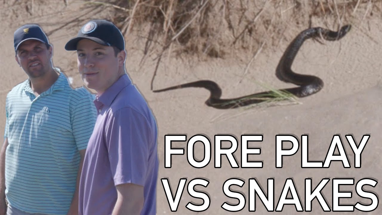 Tiger Snakes On The Golf Course, Fore Play Vs Lost Farm Barnbougle, 4th Hole