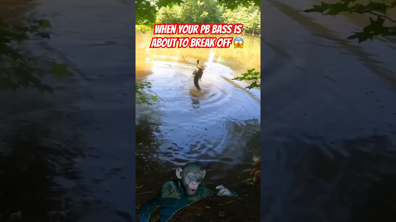 A Fishing Nightmare 