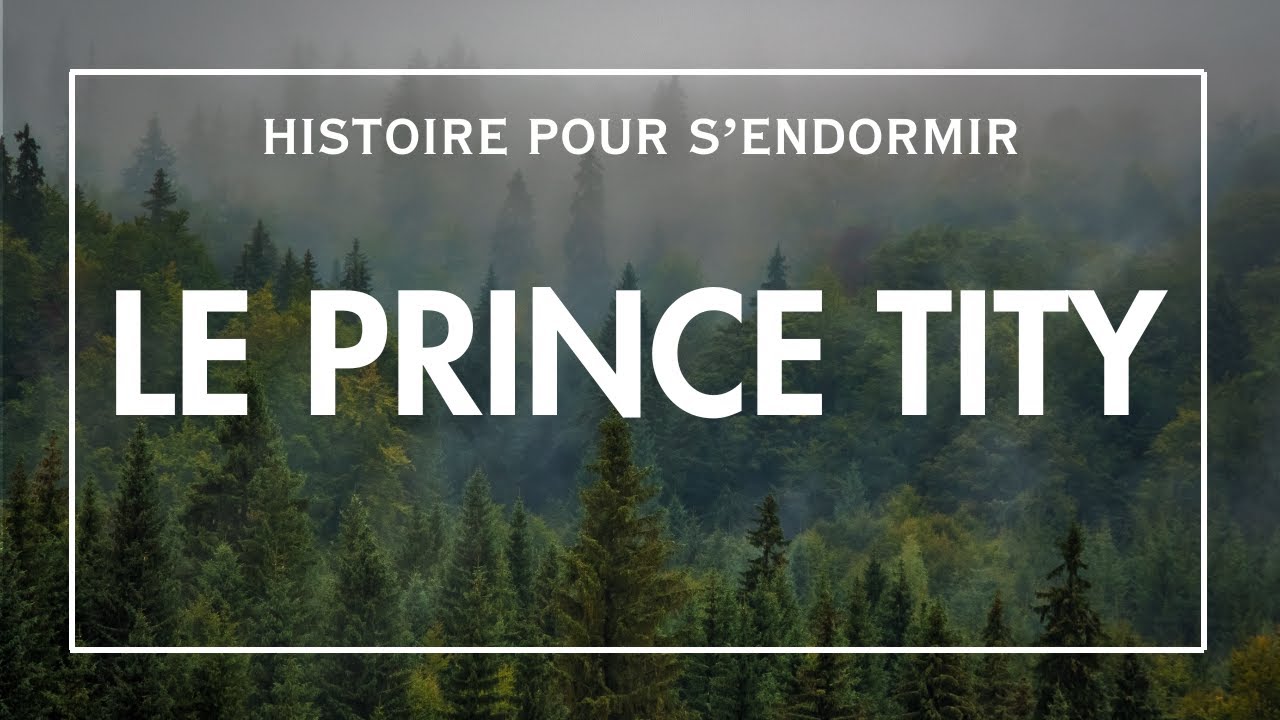 Le Prince Tity | Conte pour dormir | Histoire pour s'endormir | Conte Francais | Histoires Adultes