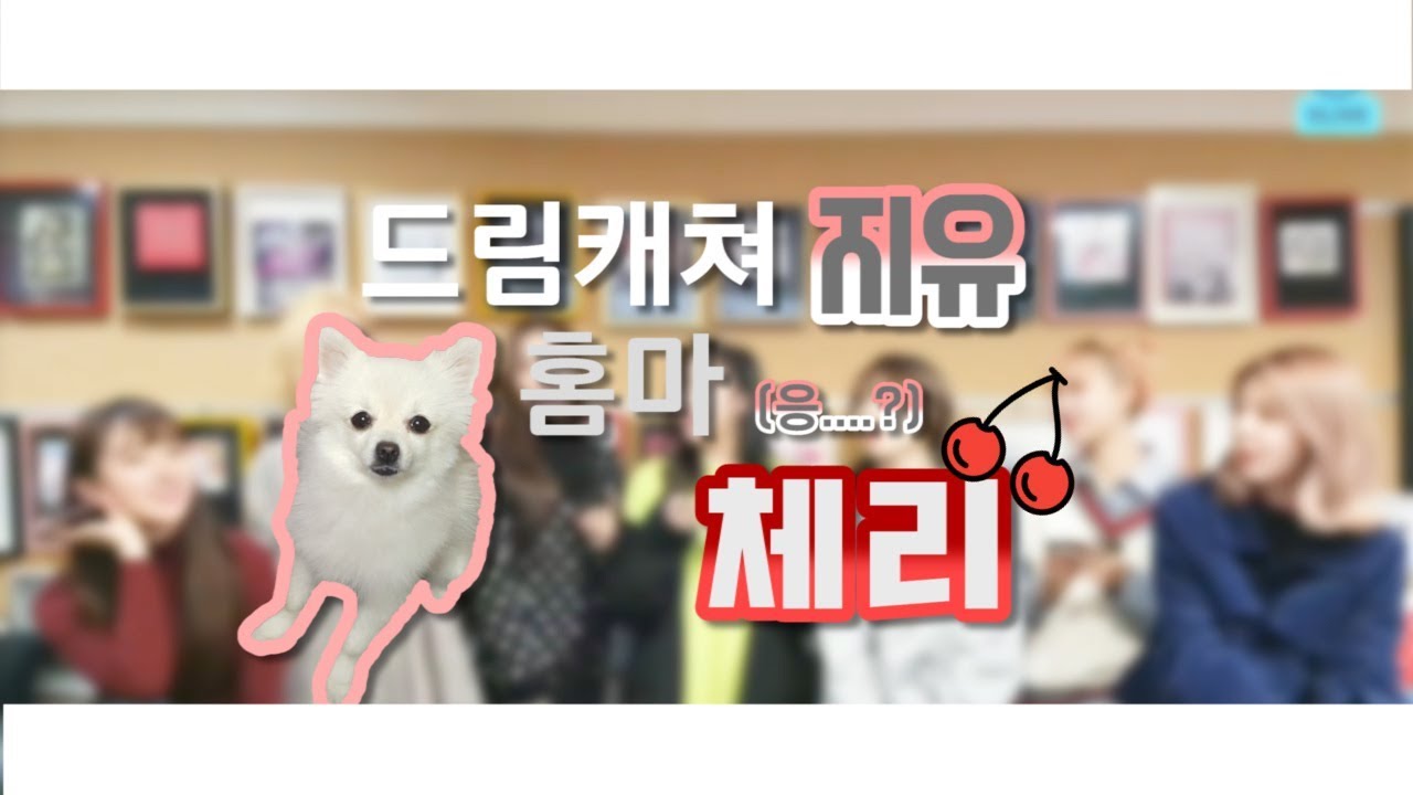 [드림캐쳐] 드림캐쳐 지유 홈마 김체리.