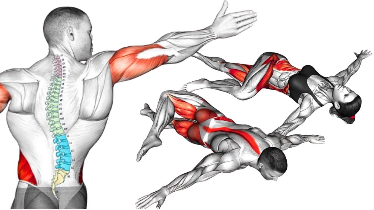 Spine Alignment Exercises for Posture Correction and Back Pain Relief