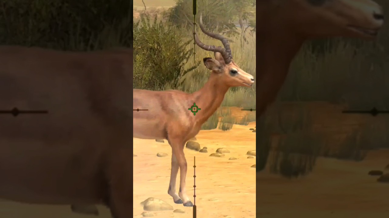 Most Beautiful Impala, hunting #gaming #viral #animals
