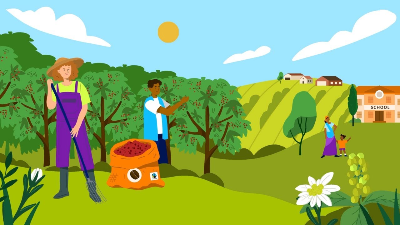 Co to jest FAIRTRADE? Zobacz, na czym polega Sprawiedliwy Handel
