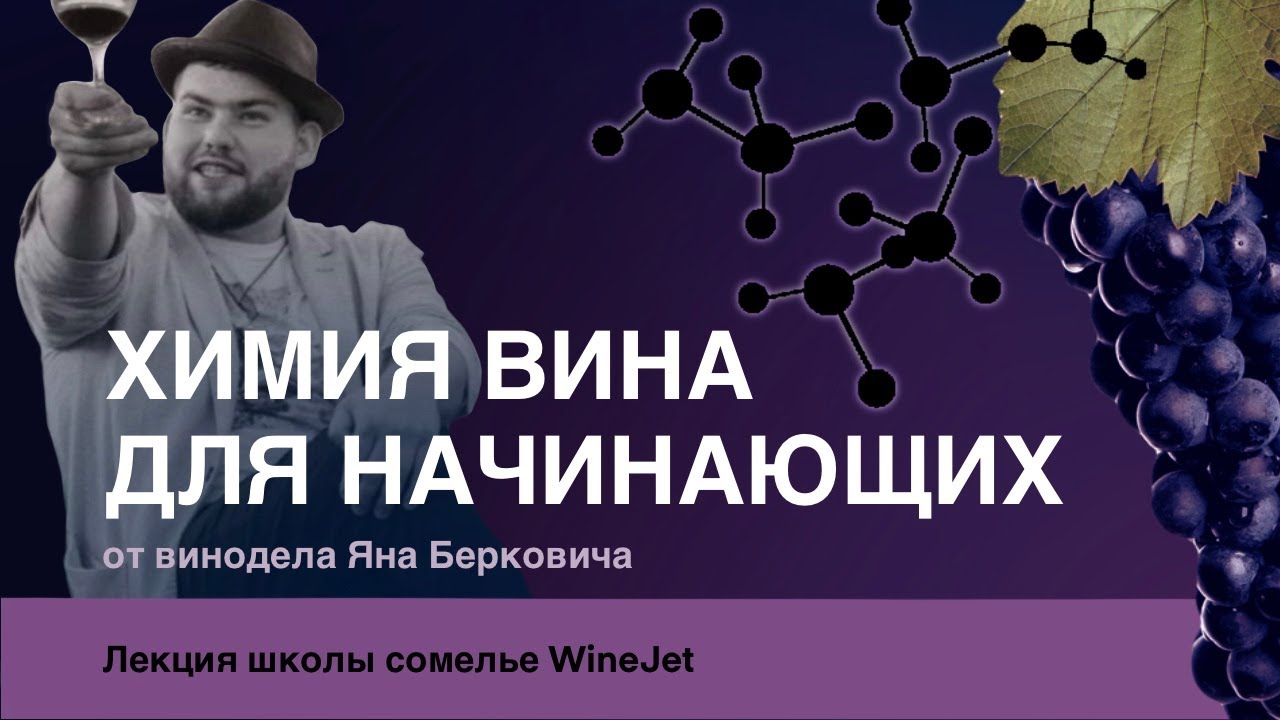 Химия вина для начинающих. Ян Беркович.