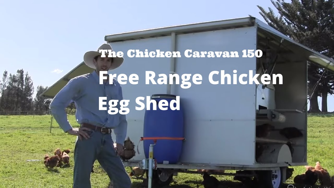 The Chicken Caravan 150 - free range chicken egg shed