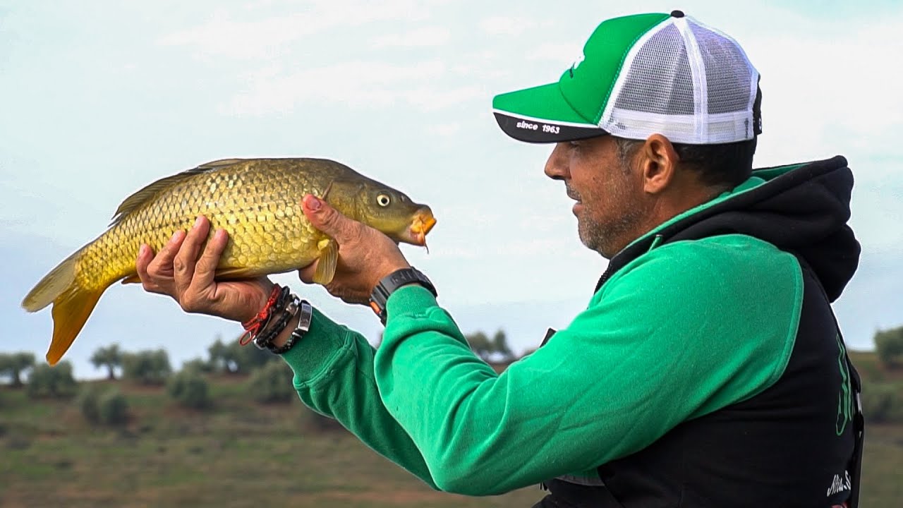 Feeder invernal con un campe&oacute;n de Espa&ntilde;a