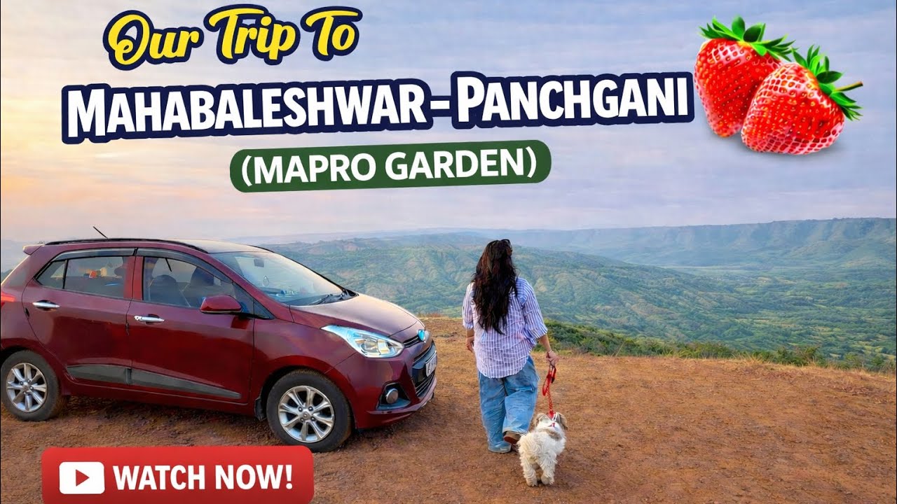 Mahabaleshwar Trip Vlog 🌄 | Mapro Garden, Scenic Viewpoints & Full Travel Experience 🍓