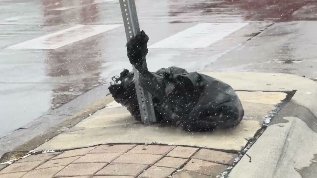 High winds with snow march 15, 2026 ￼