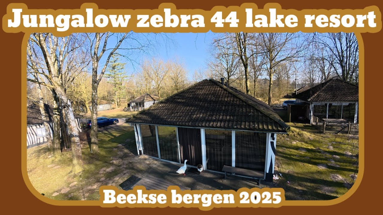 Jungalow zebra 44 lake resort [Beekse bergen 2025]