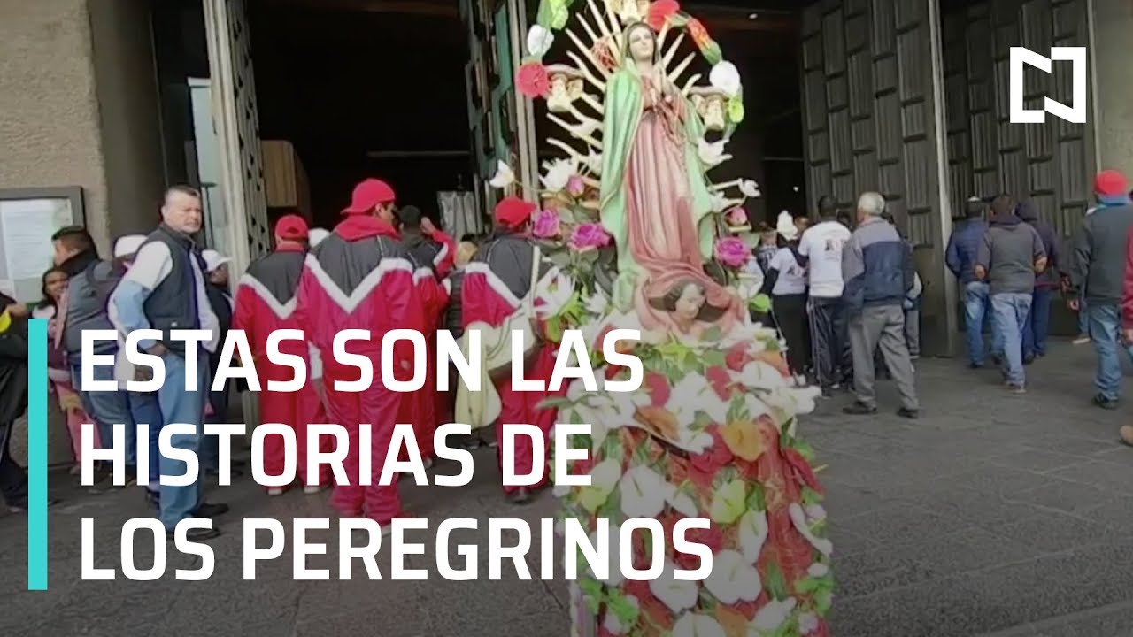 Peregrinos llegan a la Basílica de Guadalupe con sus historias - En Punto con Denise Maerker