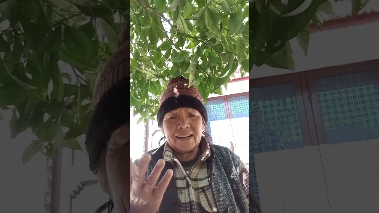 4 मार्च 2026