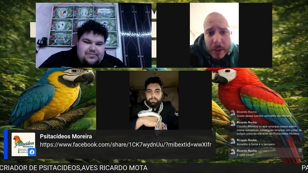 Momento Do Criador PodCast Wilson Branquinho