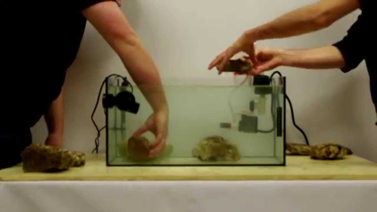 Aide à l'installation d'un aquarium eau de mer : Kit VAK'Marin